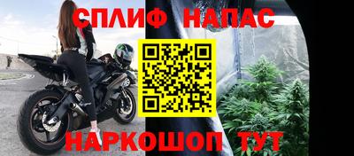 гидра Можга