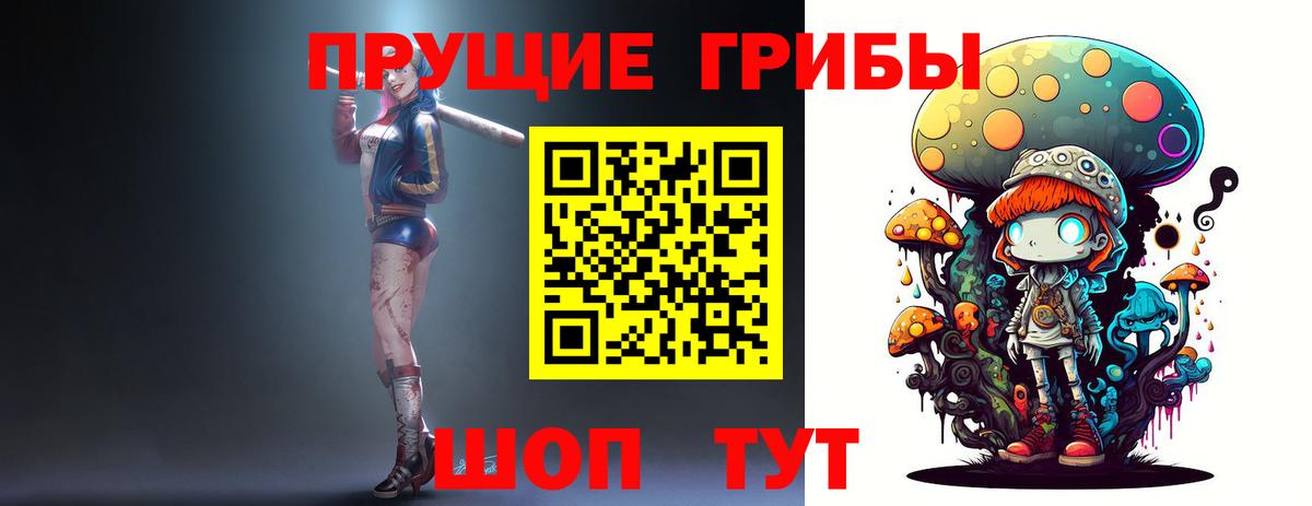 Псилоцибиновые грибы Psilocybe Салават